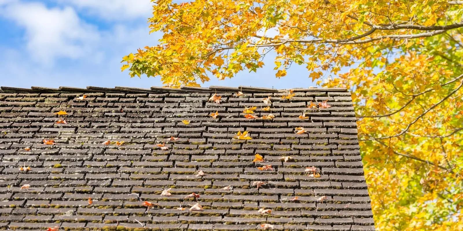 Commercial roofing project by Reliable Roofer